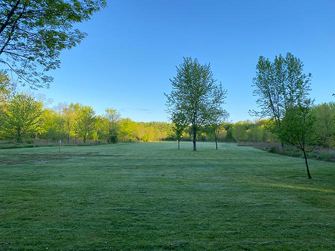 Central field
