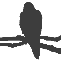 LycoBirds Logo